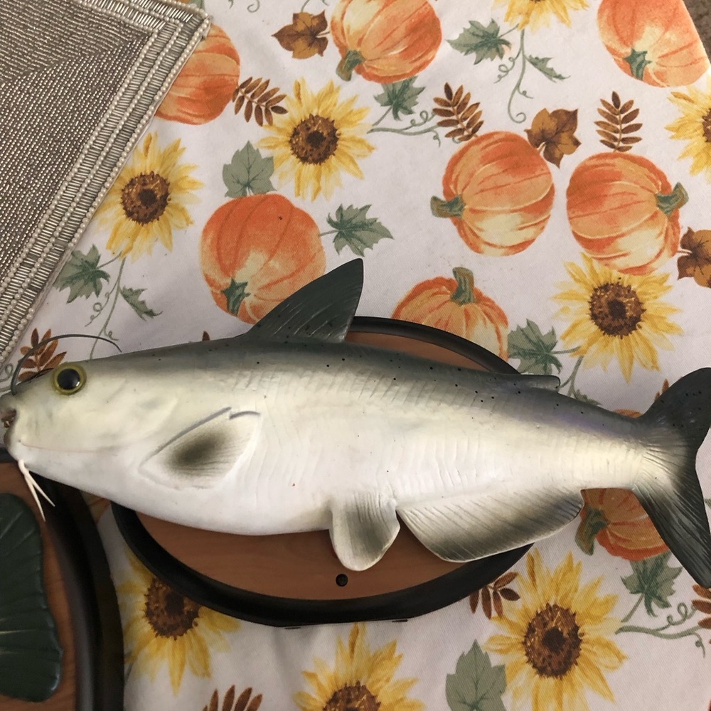 Catfish talking decor